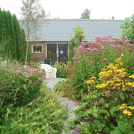 Roing B&B Hijken Exteriér fotografie