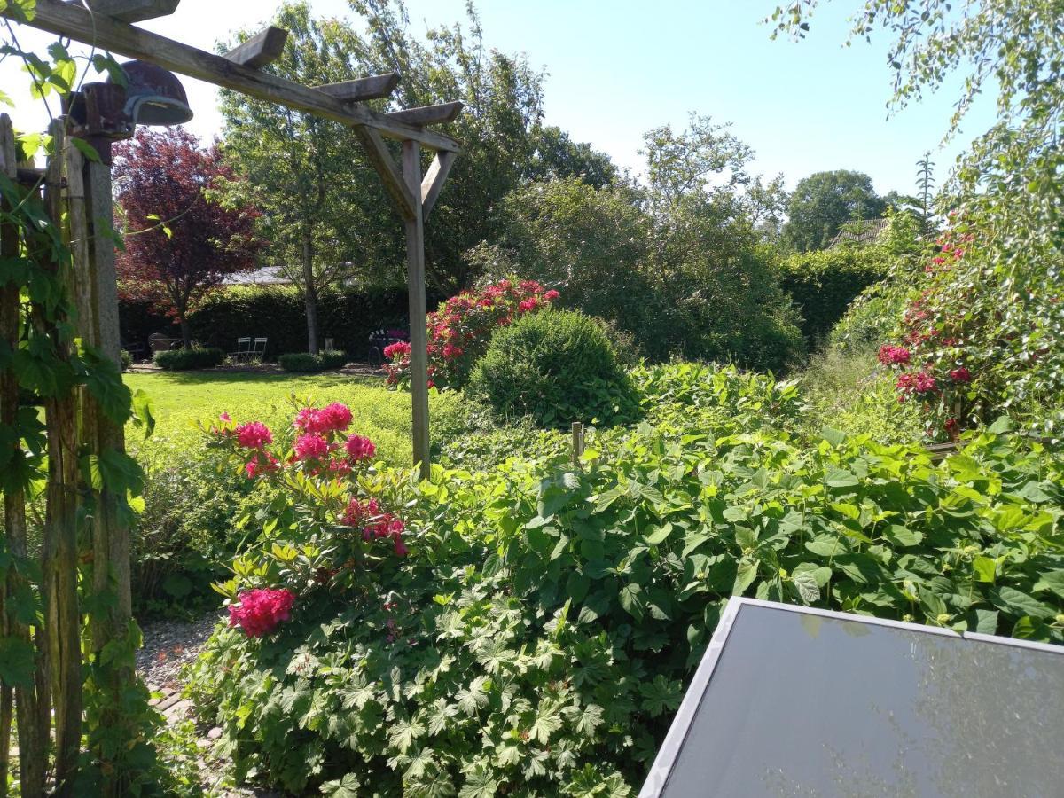 Roing B&B Hijken Exteriér fotografie