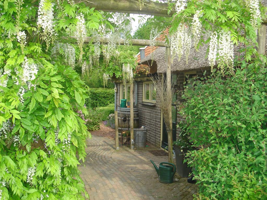 Roing B&B Hijken Exteriér fotografie
