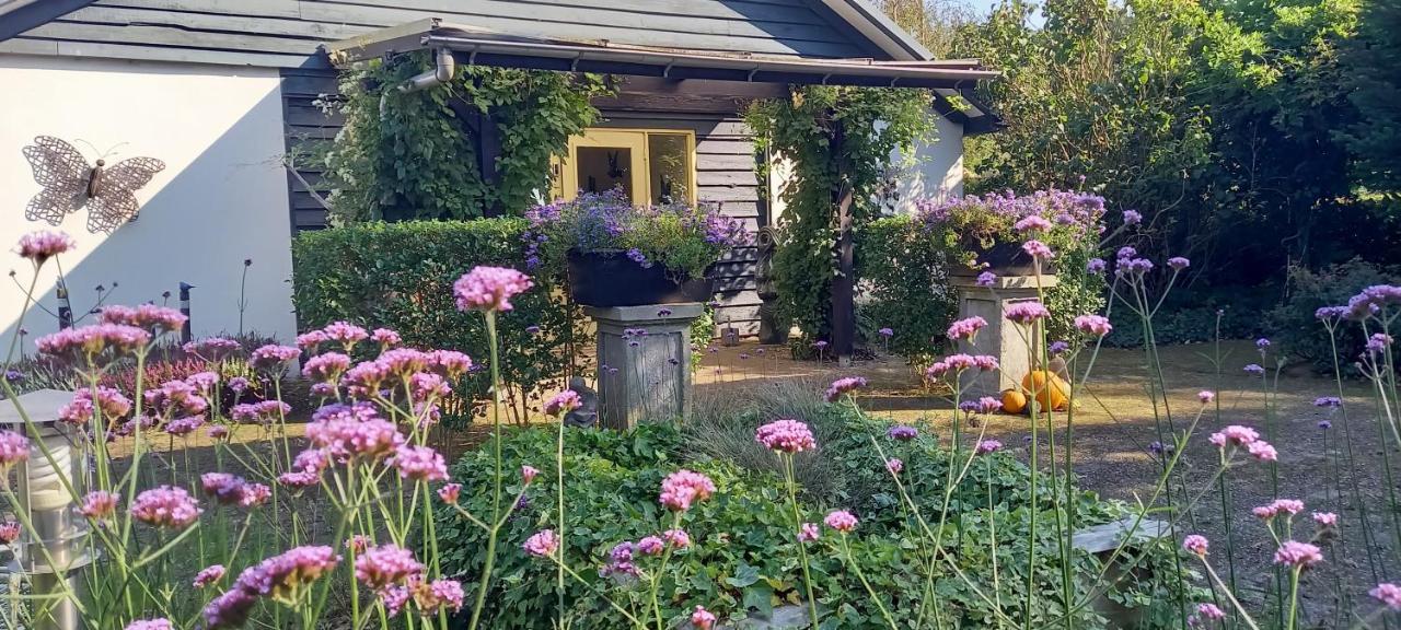 Roing B&B Hijken Exteriér fotografie