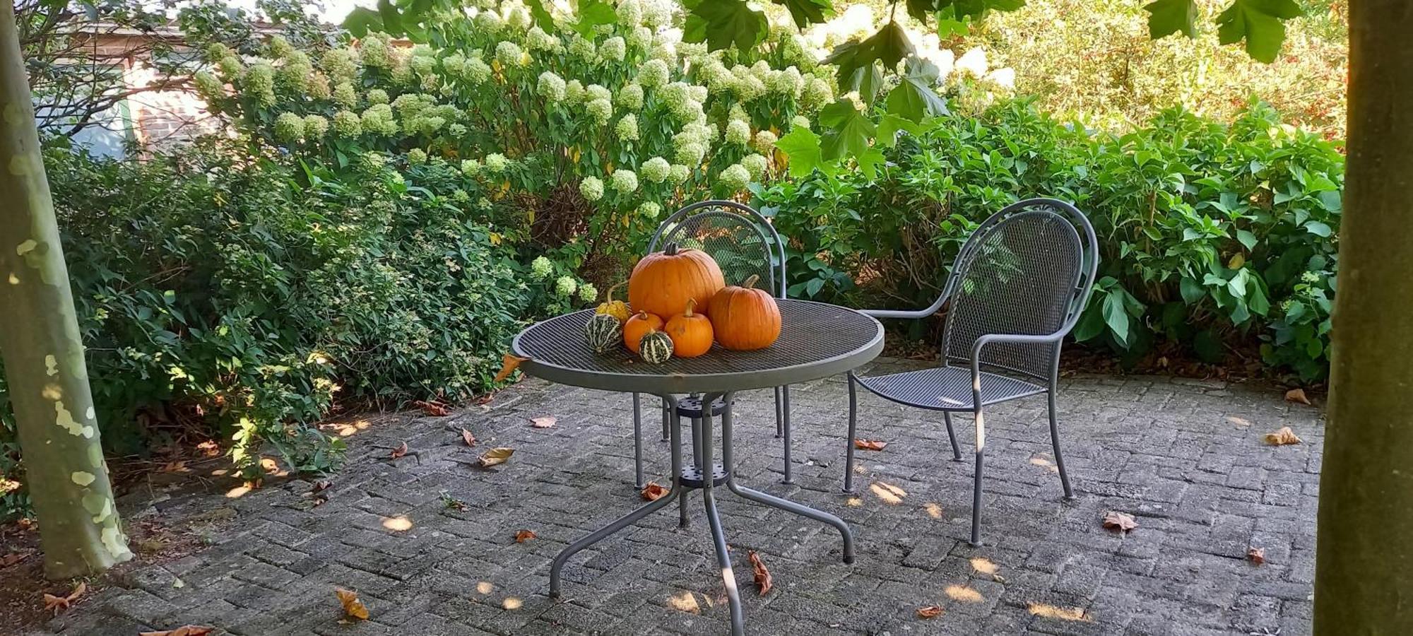 Roing B&B Hijken Exteriér fotografie