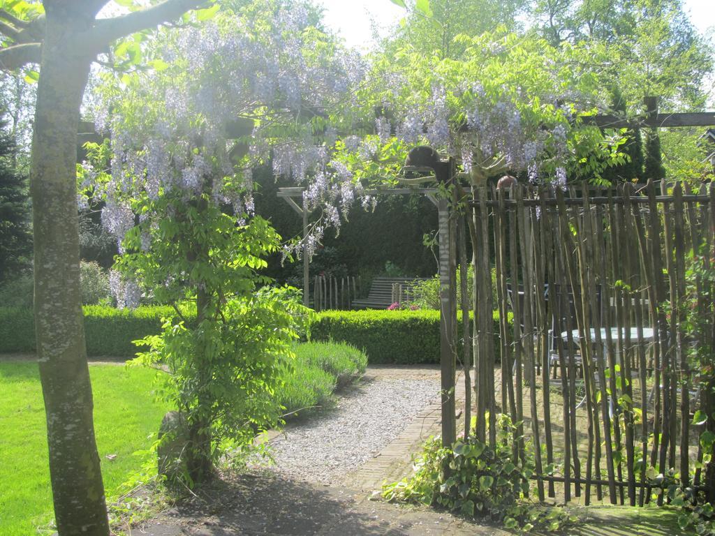 Roing B&B Hijken Exteriér fotografie